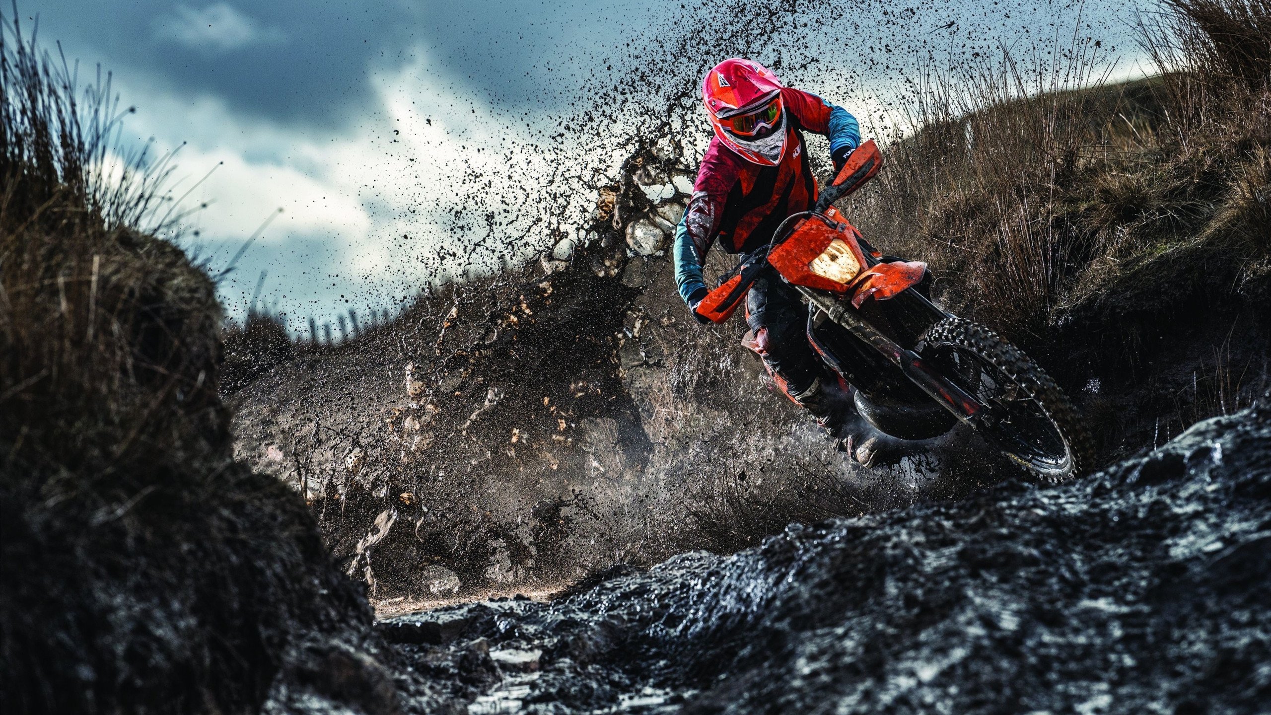 霍勒迪接管季后赛舞台,凯尔特人稳如磐石击溃雷霆