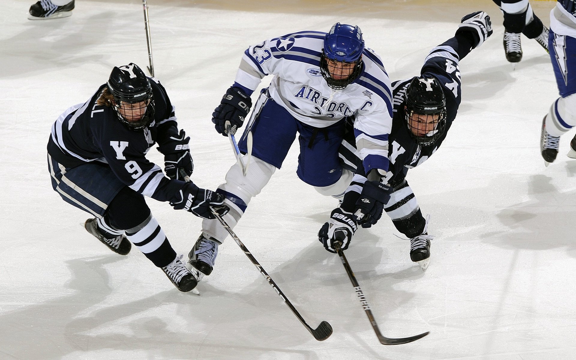 波尔独木擎天,波兰铁骑鏖战险胜德国战车